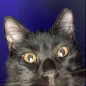 Meet your Posher, Leah